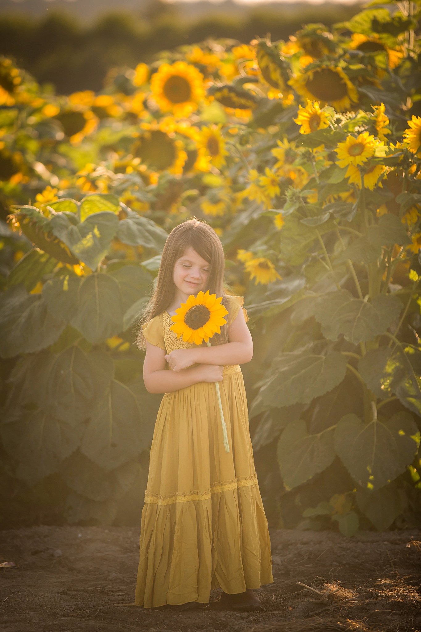 young girl wears a yellow dress in front of a sunflower farm while hugging a sunflower Kirkland Pediatricians