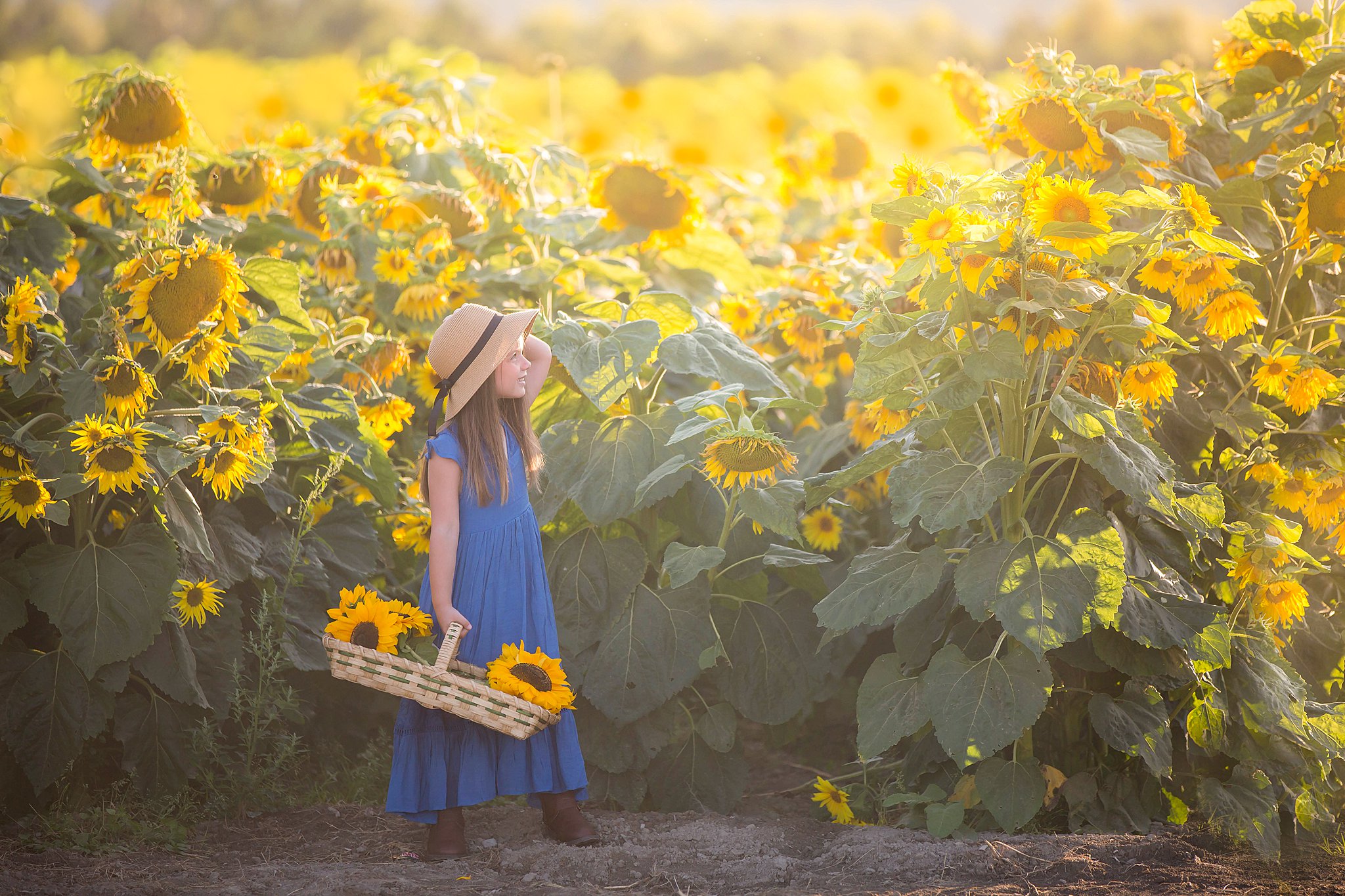 Young girl in a blue dress holds a basket of sunflowers in a sunflower field Kirkland Pediatricians